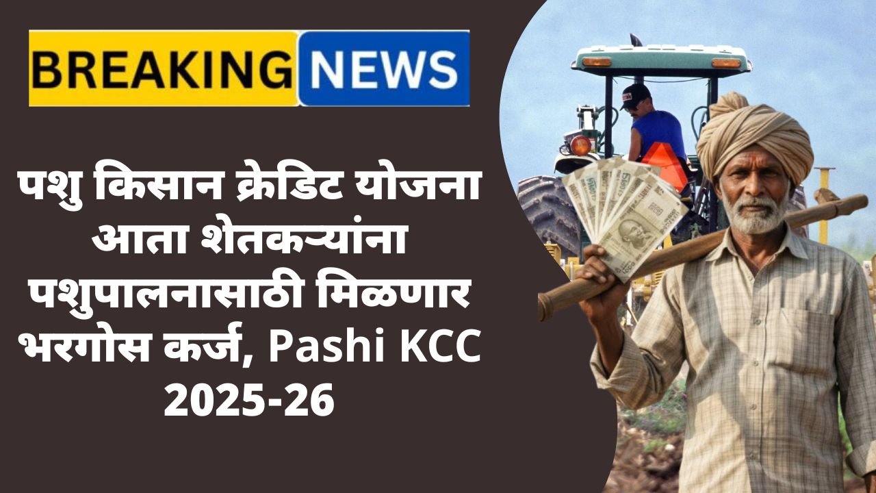 Pashi KCC 2025-26
